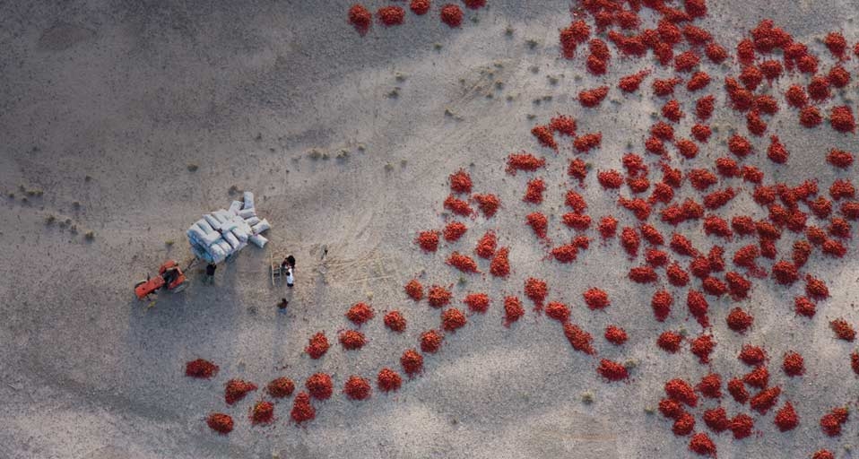新疆的农民在晒红辣椒 -- George Steinmetz/Corbis &copy; (Bing China)