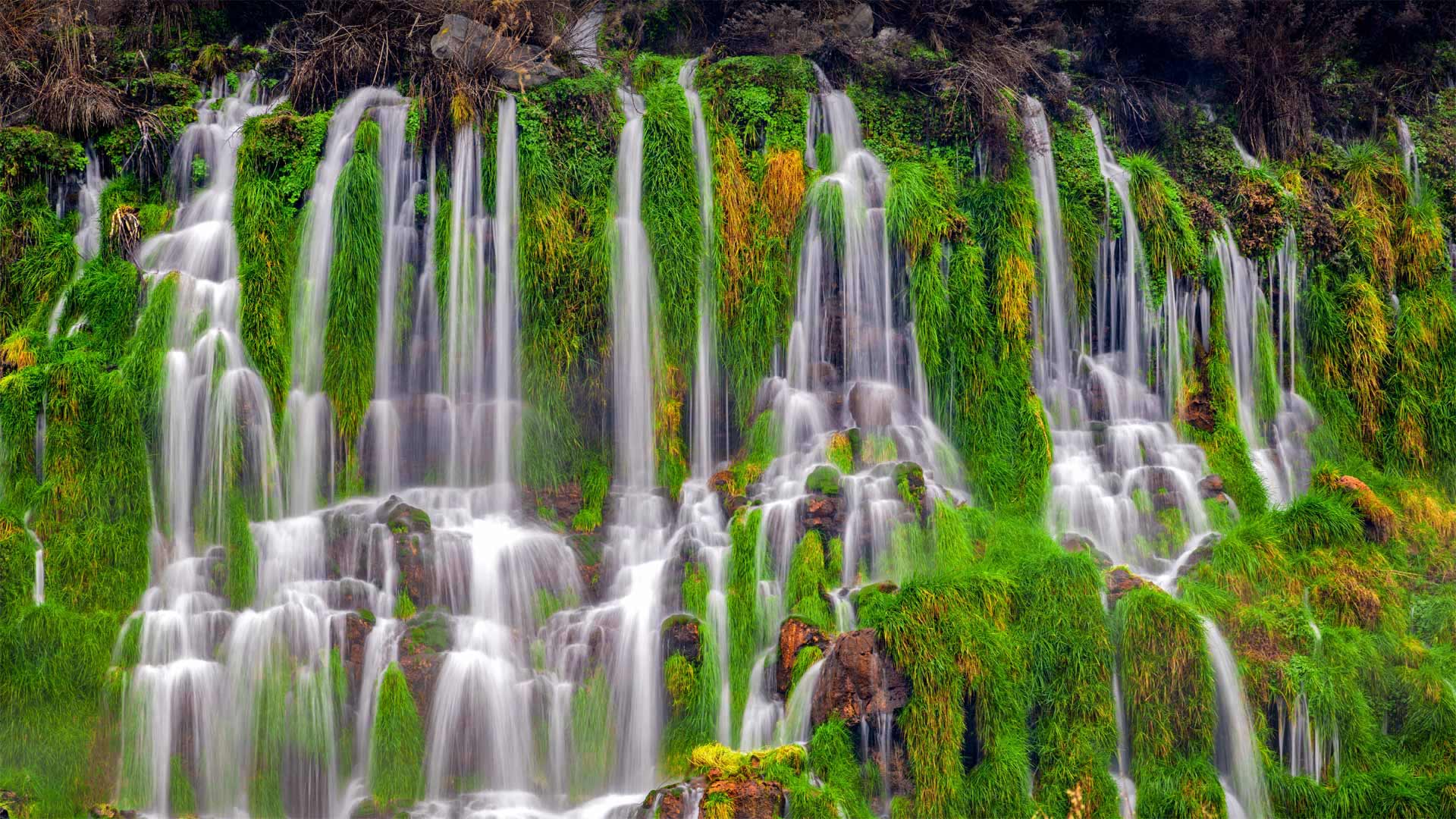 千泉州立公园的瀑布，美国爱达荷州 (© knowlesgallery/Getty Images)(Bing China)