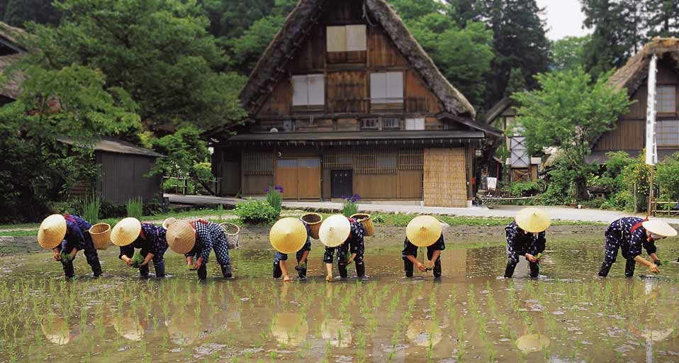 ｢白川郷田植え祭り｣岐阜県, 飛騨市 -- Japan Travel Bureau &copy; (Bing Japan)