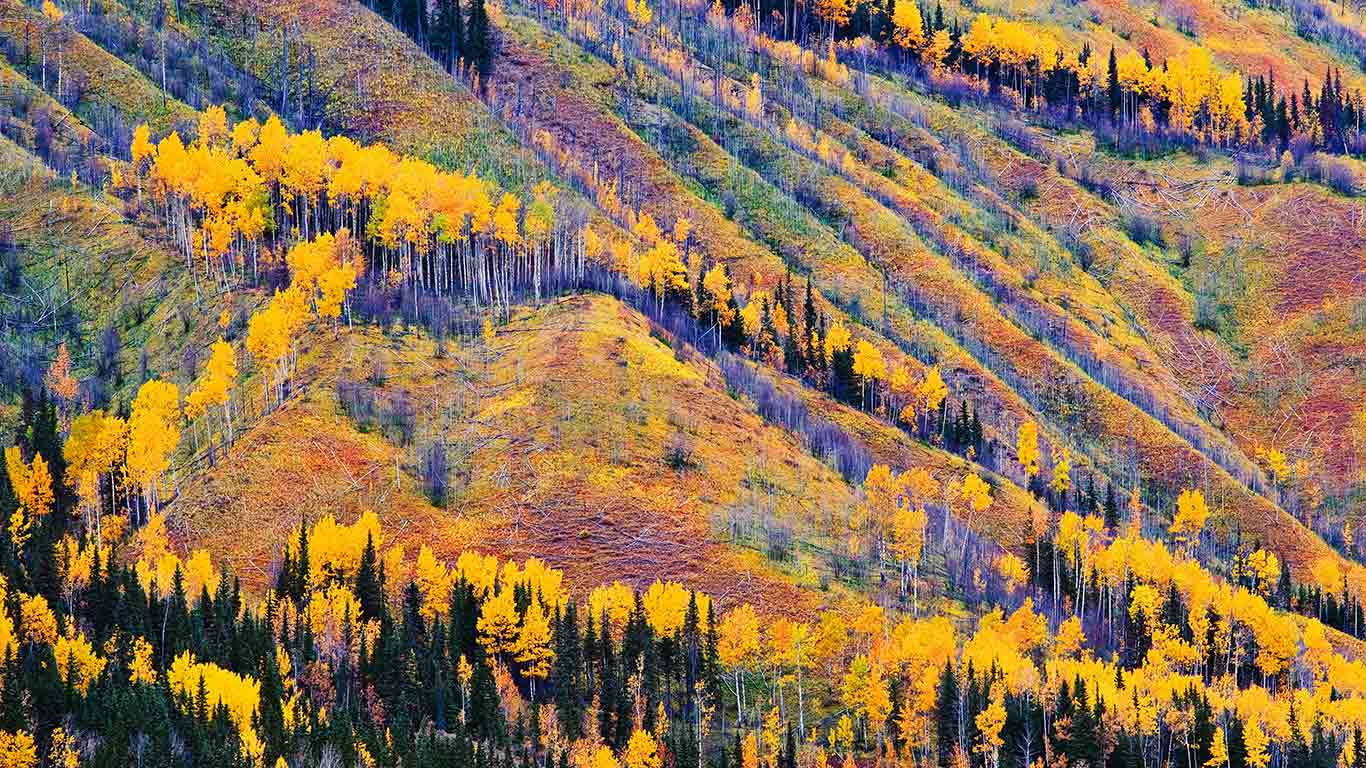 Fall colors near Toad River, British Columbia, Canada (© Yves Marcoux/Design Pics)(Bing New Zealand)