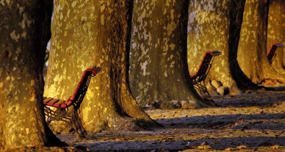 葡萄牙蓬蒂·迪利马的大街 (© Juan Carlos Zamarreño/age fotostock) &copy; (Bing China)