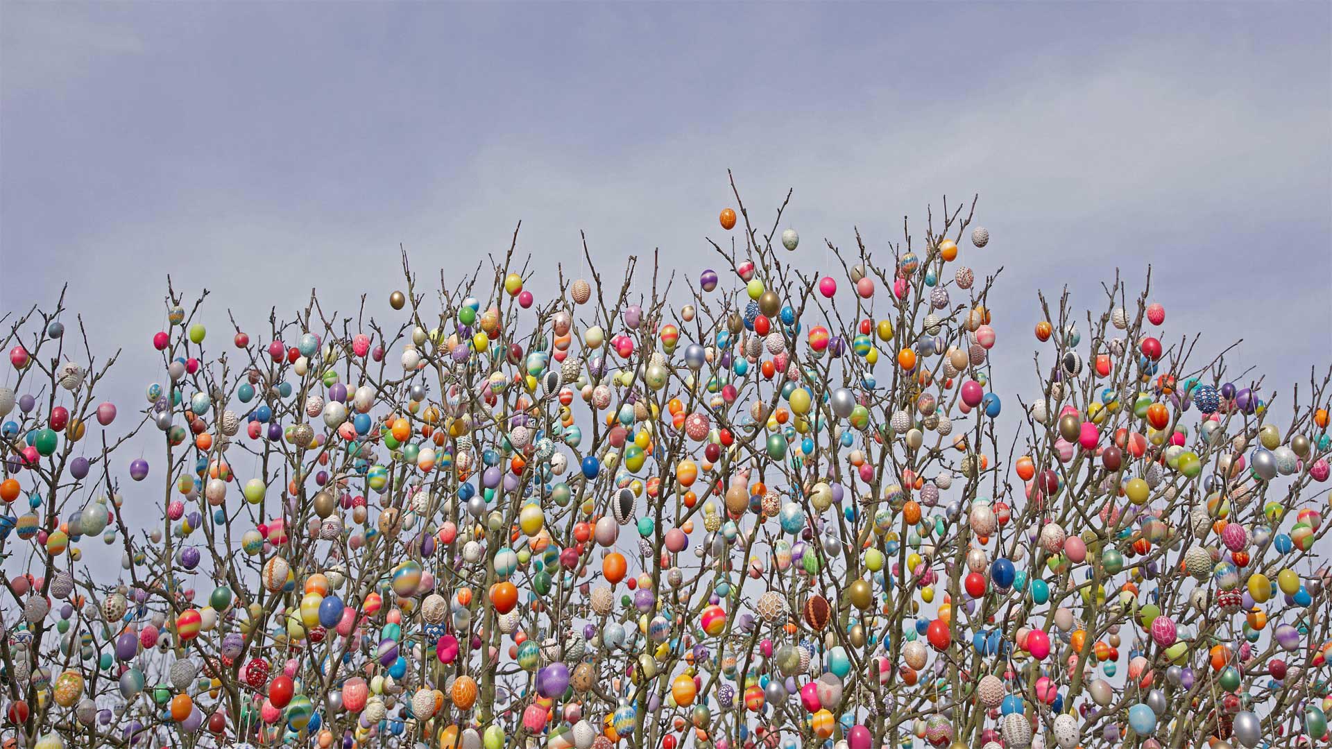 An Ostereierbaum (Easter egg tree) in Saalfeld, Germany (© Rudi Sebastian/Alamy)(Bing Canada)