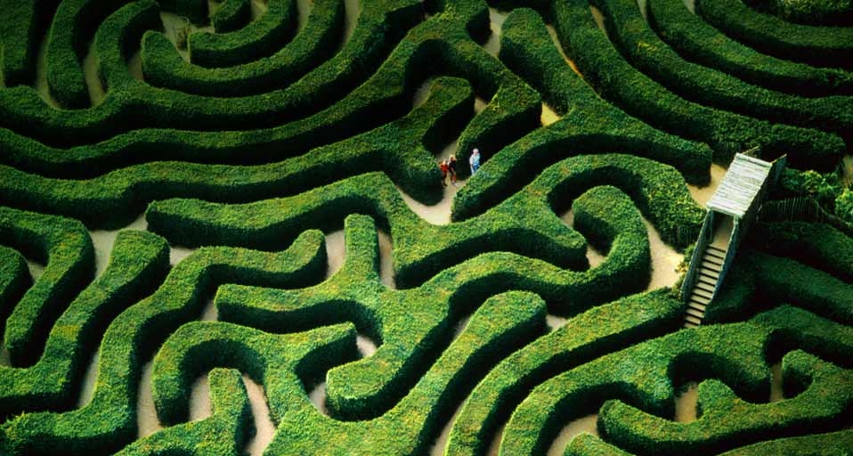 英国威尔特郡附近的树篱迷宫 -- Jason Hawkes/Getty Images &copy; (Bing China)