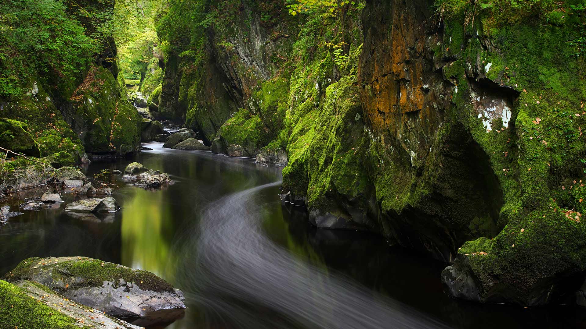 贝图瑟科伊德的Fairy Glen，英国威尔士 (© Robert Harding World Imagery/Offset by Shutterstock)(Bing China)
