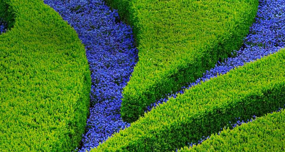Stauden- und Blumenpracht im Vrtba-Garten in der Kleinseite von Prag, Tschechische Republik (© William Manning/Corbis)(Bing Deutschland)