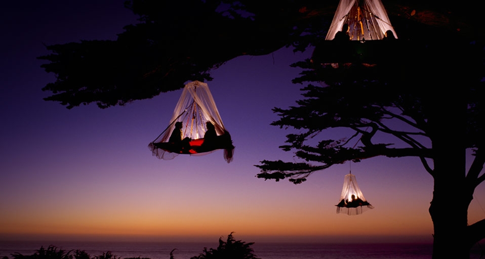 登山者在美国加州海岸的附近的树上露营 -- Louie Psihoyos/Corbis &copy; (Bing China)