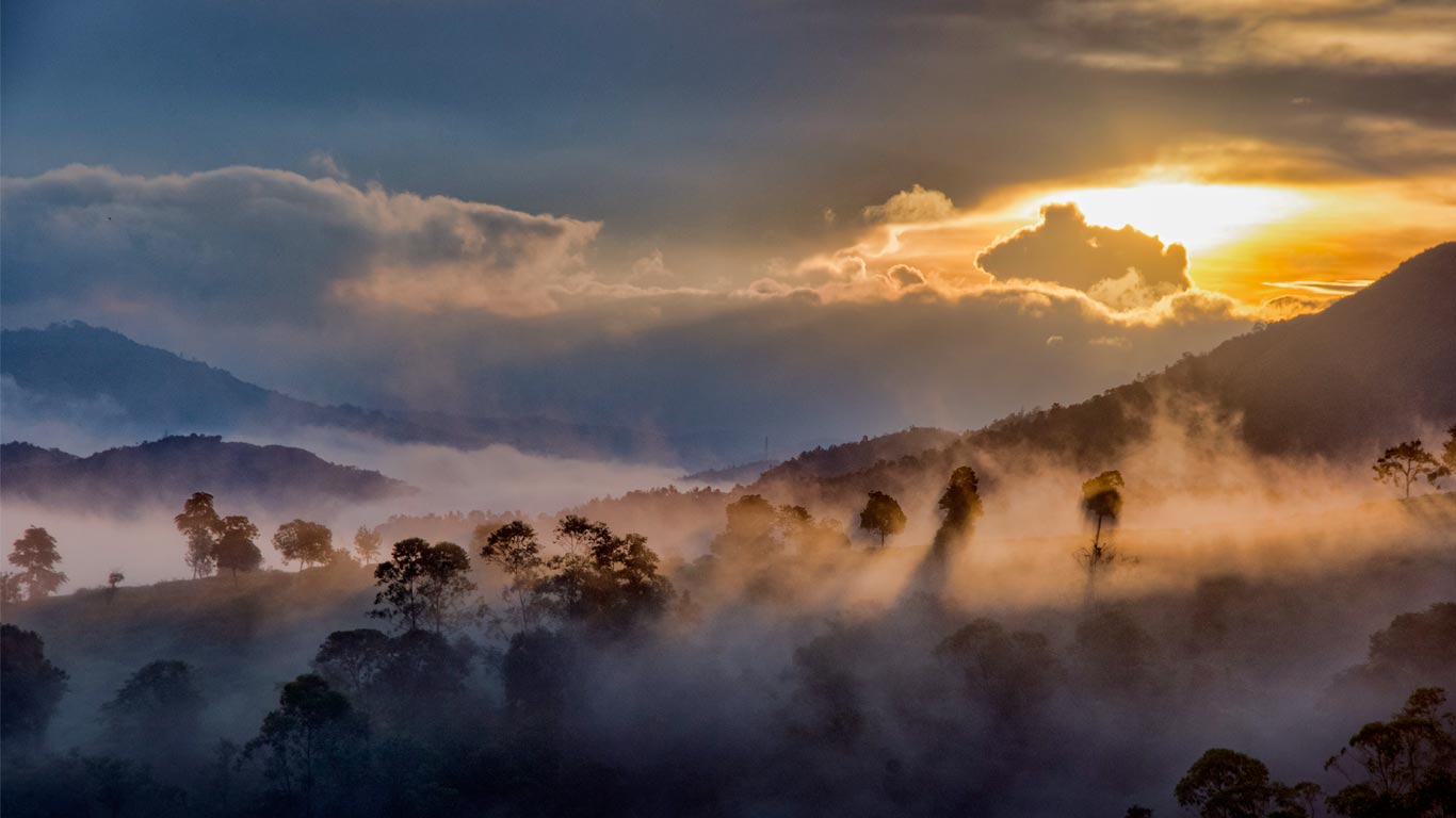 Mist over the forests of Idukki, Western Ghats, Kerala, India (© Getty Images)(Bing New Zealand)