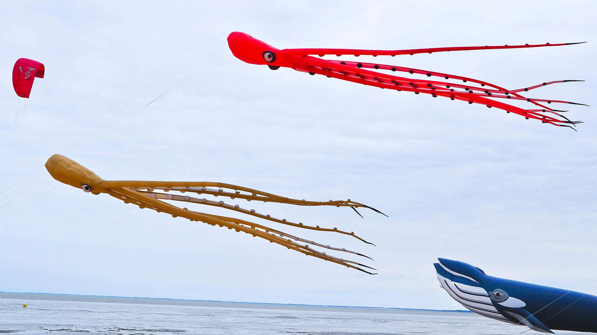 Des cerfs volants poulpes au Festival International du cerf-volant et du vent, Chatelaillon-Plage, France (© vicar/Alamy Stock Photo)(Bing France)