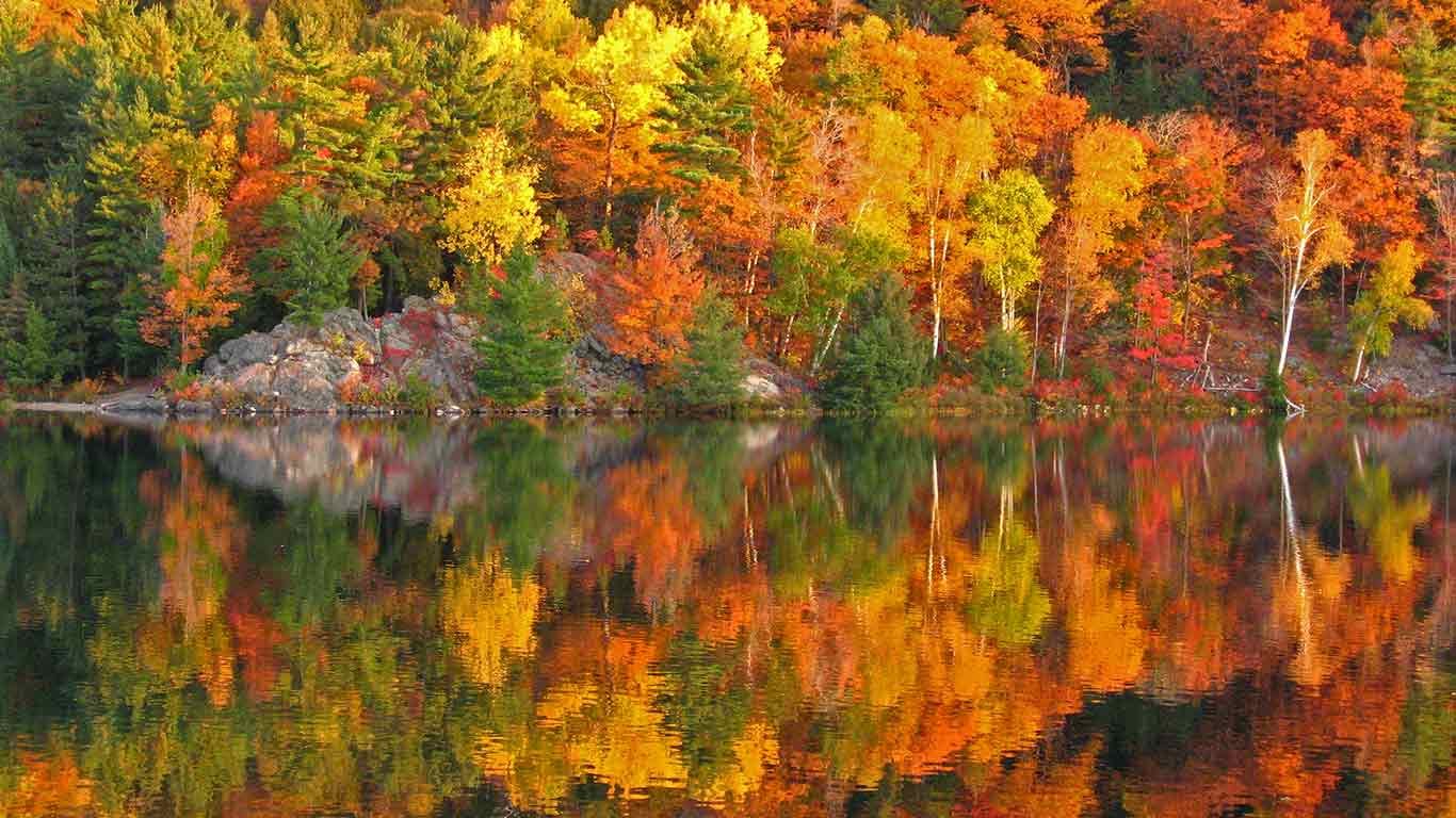 © Shutterstock(Bing Canada)
