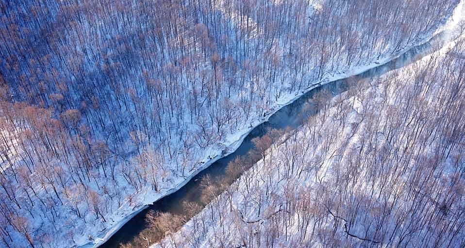 Aerial view of a creek flowing through the countryside of Virginia (© Cameron Davidson/Corbis) &copy; (Bing United States)