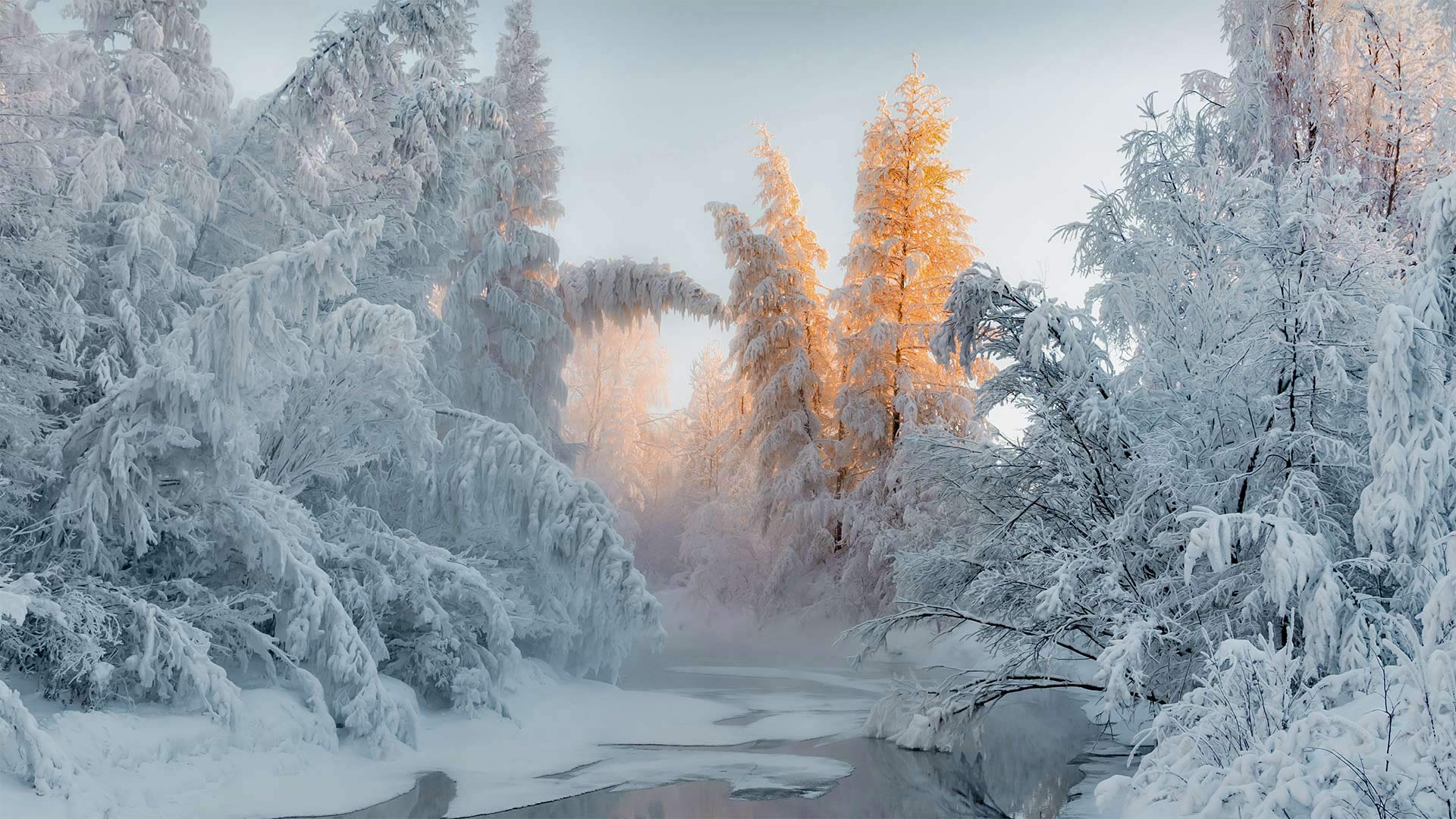 奥伊米亚康的冬天，俄罗斯 (© Alexandr Berdicevschi/Getty Images)(Bing China)