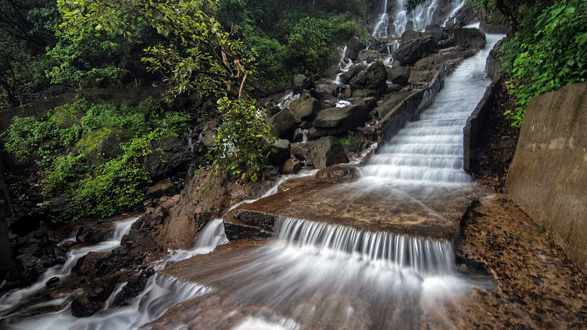 Waterfall in Amboli, Maharashtra, India (© ePhotocorp/iStock/Getty Images Plus)(Bing New Zealand)