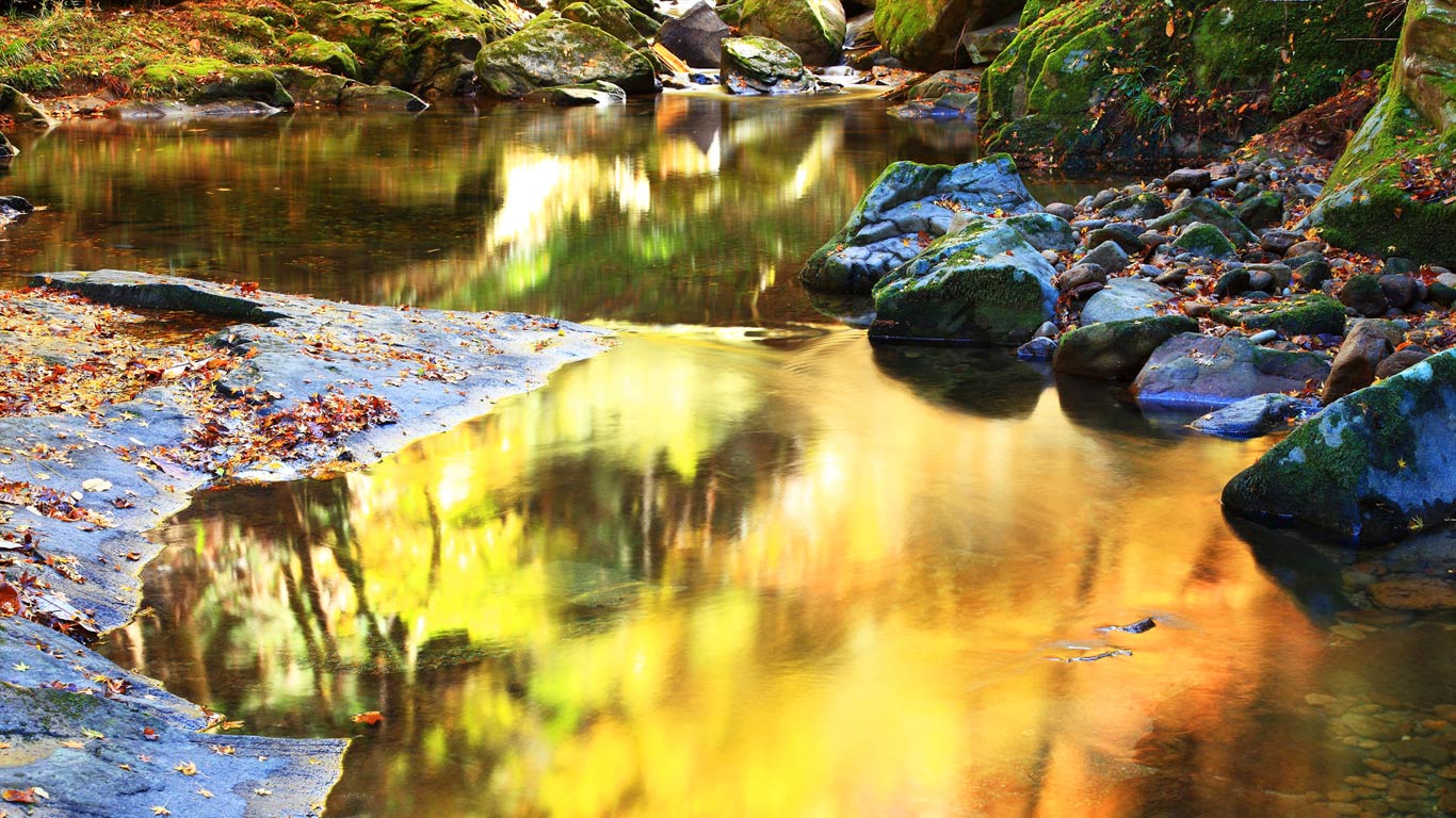 ｢赤目四十八滝｣三重, 名張 (© Seigo Yamamura/Aflo Co. Ltd./Alamy)(Bing Japan)