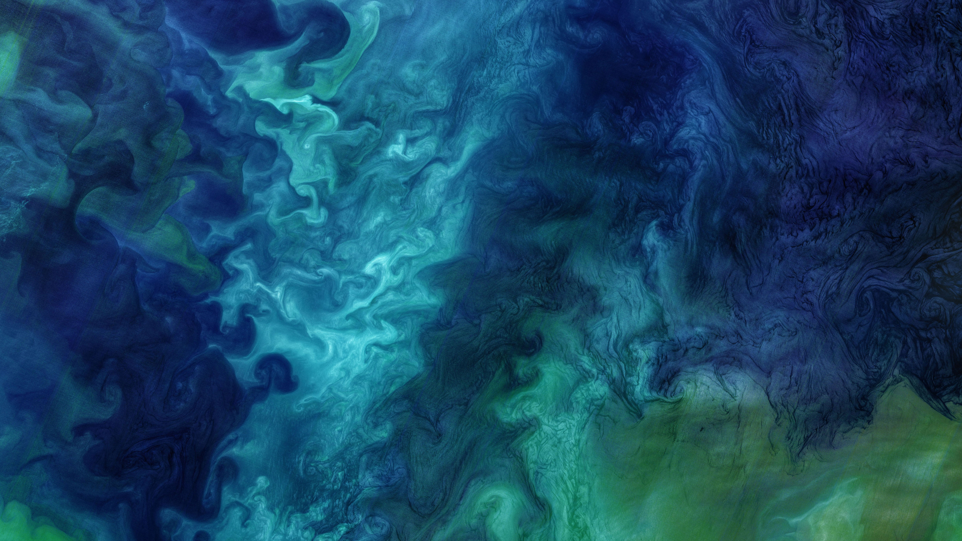 楚科奇海的浮游植物水华，美国阿拉斯加州海岸附近 (© Norman Kuring/Kathryn Hansen/U.S. Geological Survey/NASA)(Bing China)