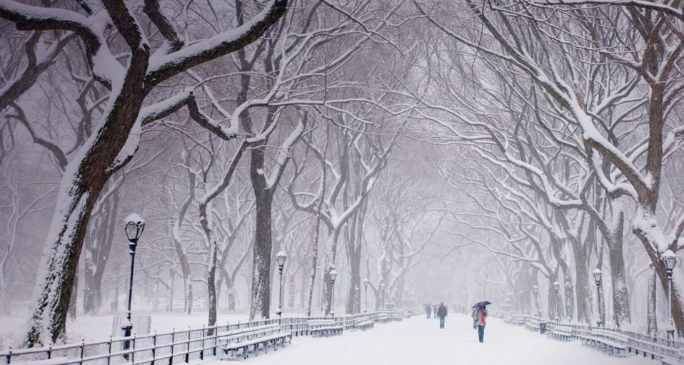 Snow covered trees and benches in Central Park, New York City -- Ellen Rooney/Getty Images &copy; (Bing Canada)