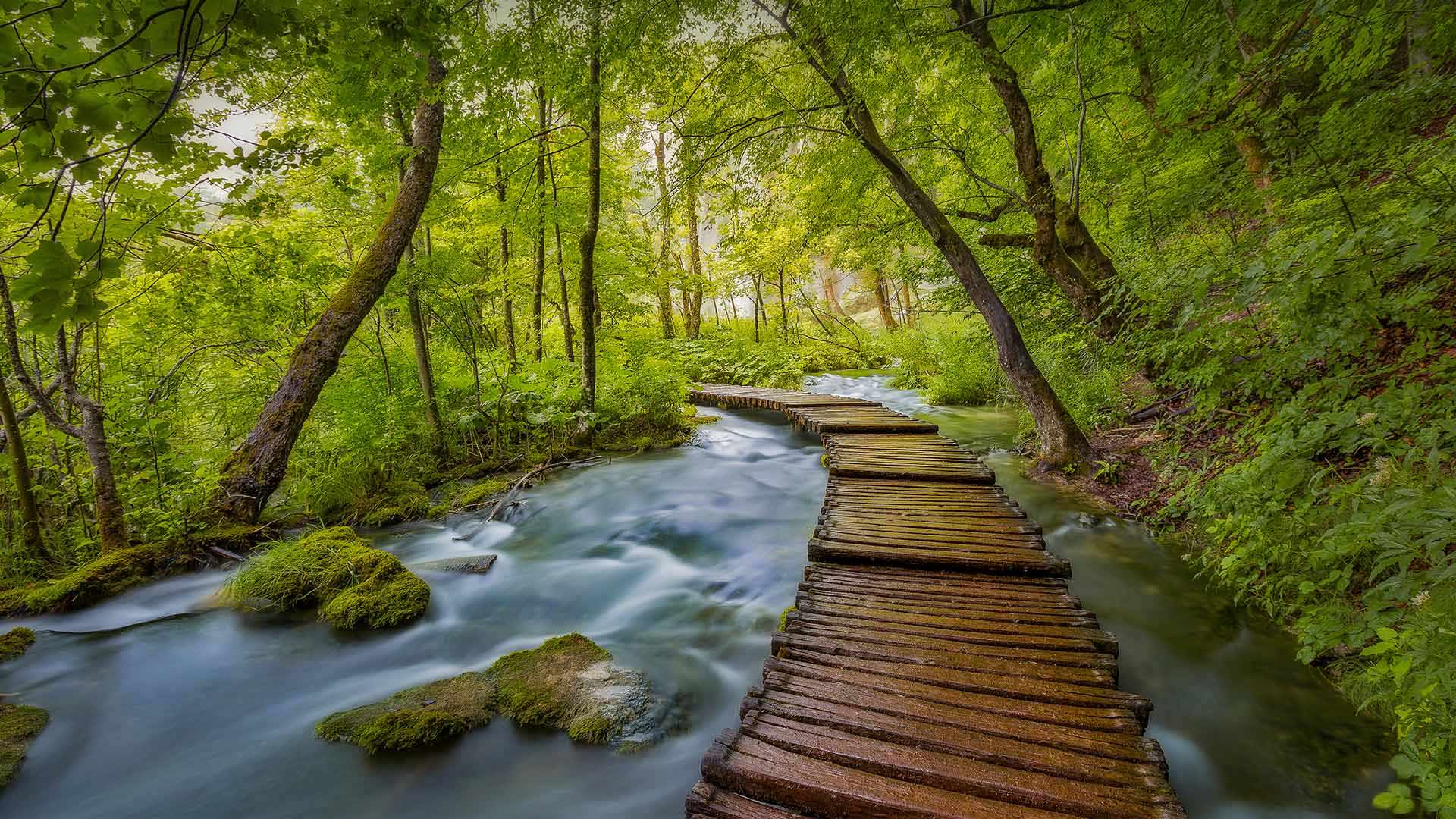 十六湖国家公园，克罗地亚 (© Janne Kahila/Getty Images)(Bing China)