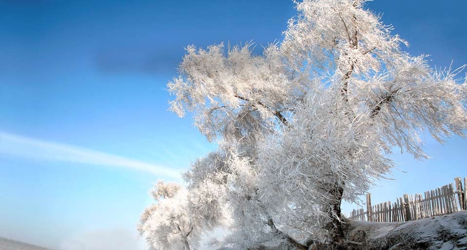东北冰雪之旅：银装素裹的吉林雾凇 -- View Stock RF/age fotostock &copy; (Bing China)